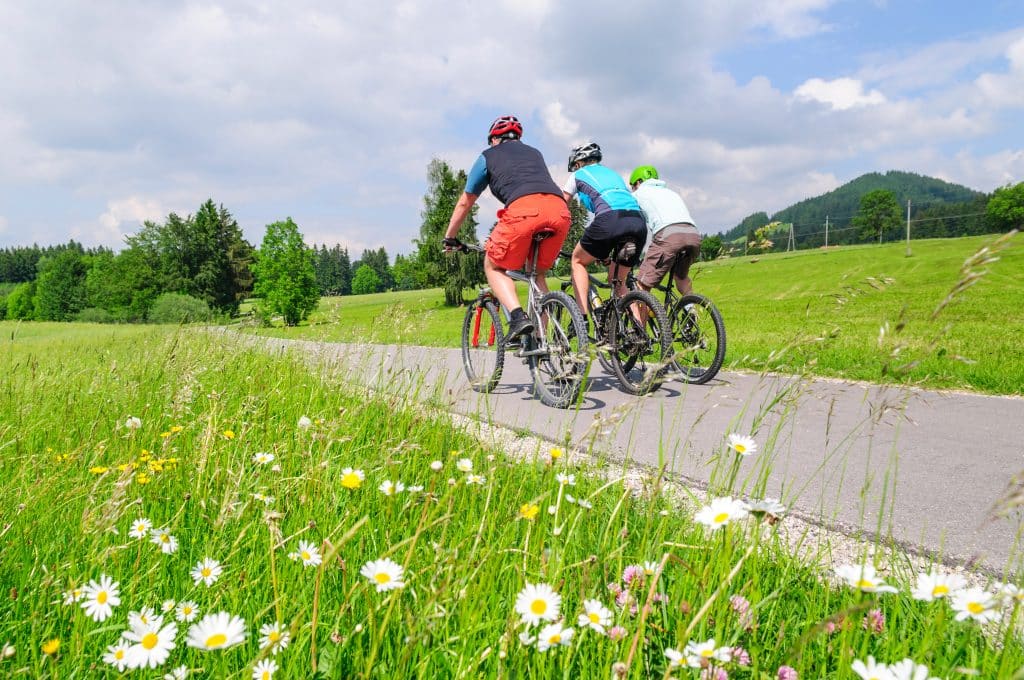 Fahrradfahrer fahren auf einer Asphaltstraße in einer grünen Landschaft