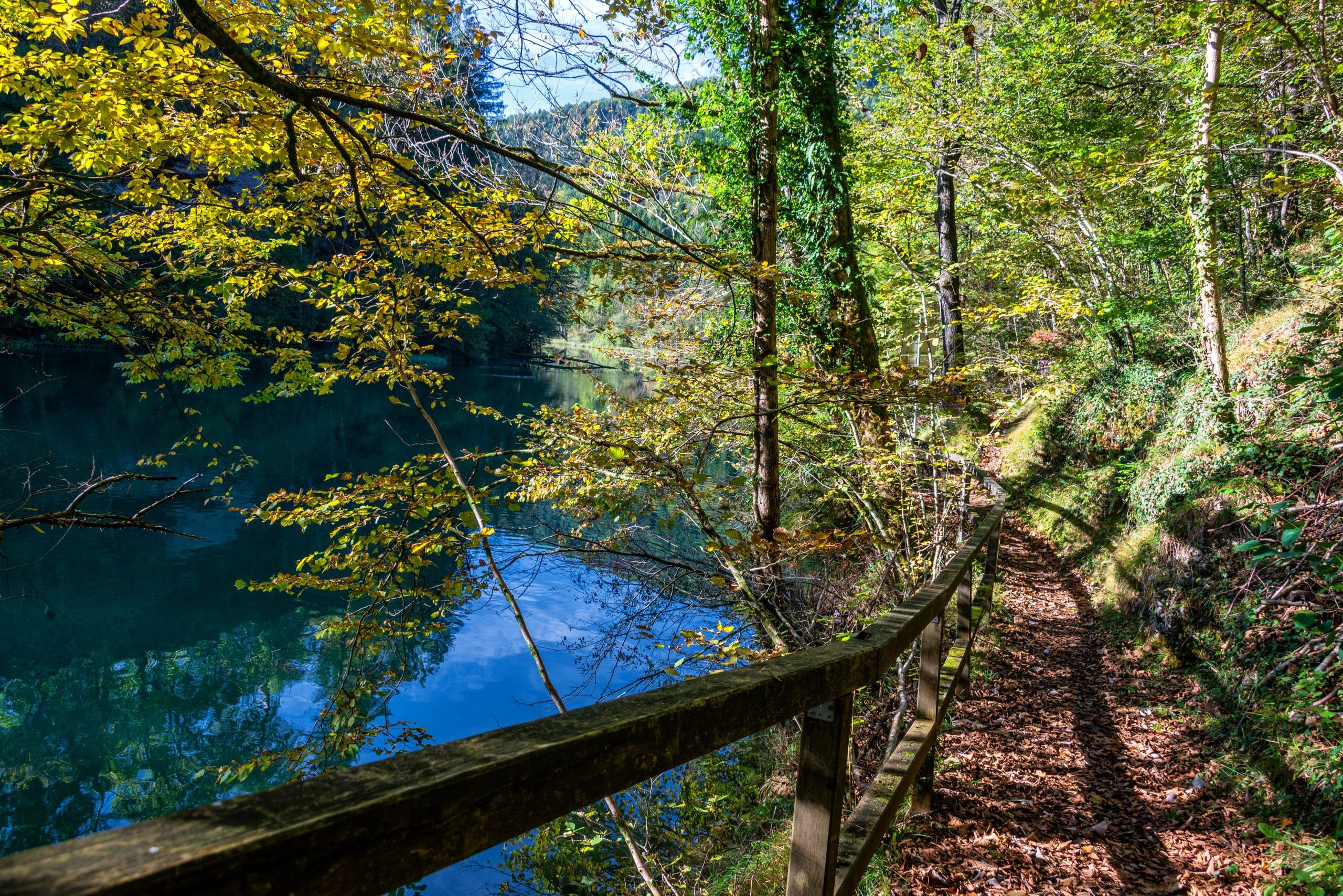 Wald mit einen Weg und ein Holzgelände neben dem Weg entlang der Stausee beim Steyrdurchbruch