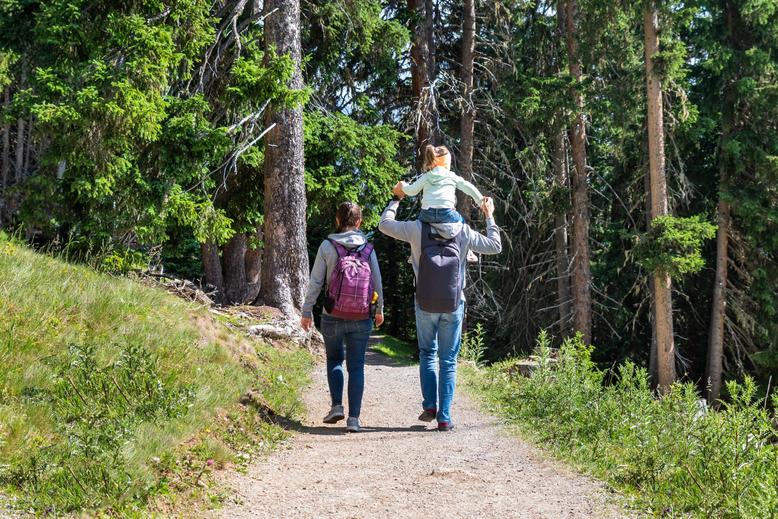 Familie beim wandern im Wald